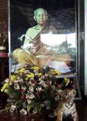 Templo del Tigre Tailandia 04